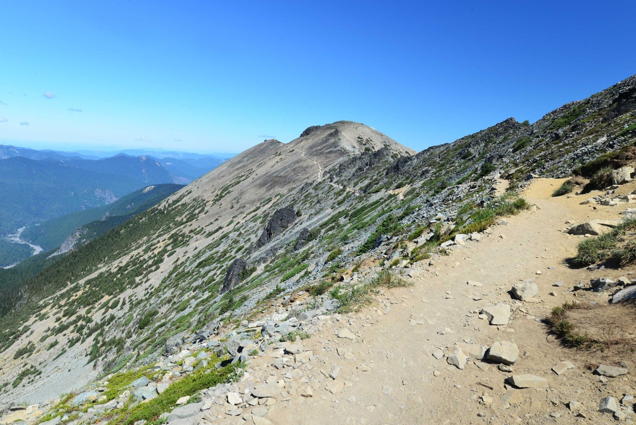 5 epic hikes in Mt. Rainier - Mt. Fremont Lookout trail